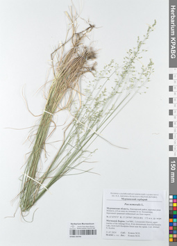 KPABG050764