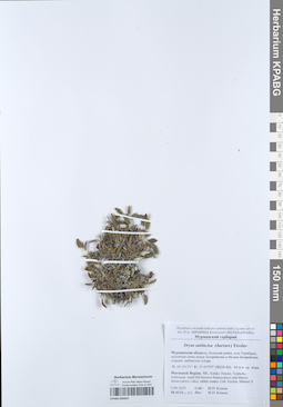 KPABG050937
