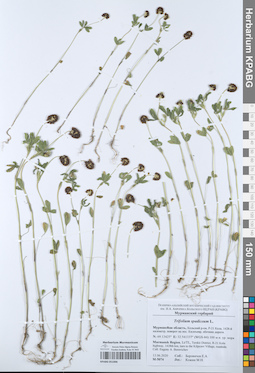 KPABG051006