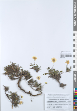 KPABG051031