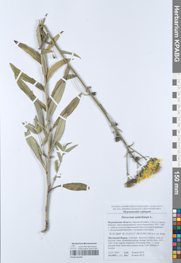 KPABG051046