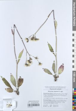 KPABG051049