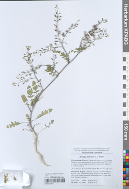 KPABG051055