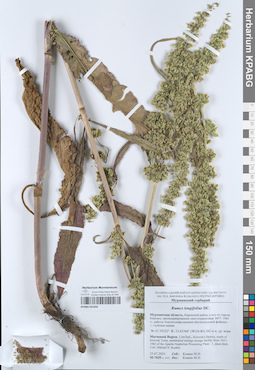 KPABG051056