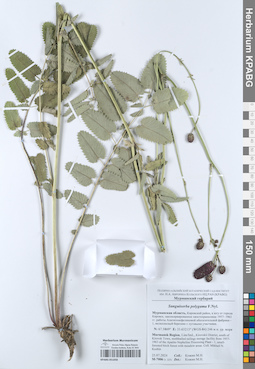 KPABG051058