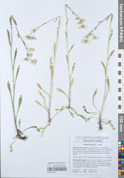 KPABG051059