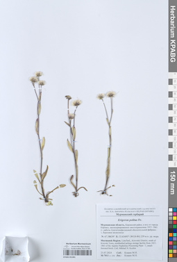KPABG051081