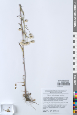 KPABG051082