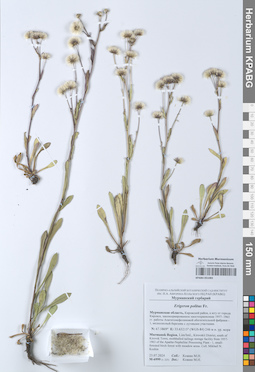 KPABG051083