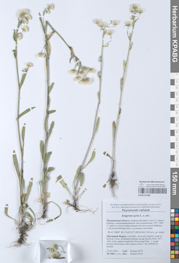 KPABG051084