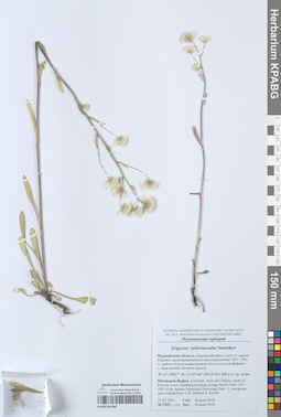 KPABG051085