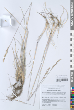 KPABG051088