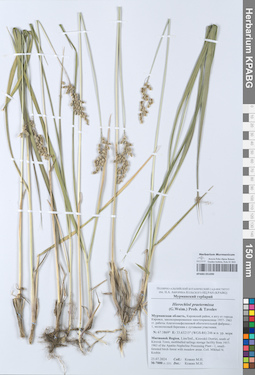 KPABG051090