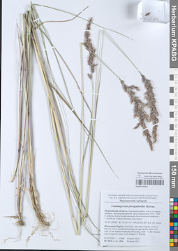 KPABG051091