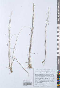 KPABG051092