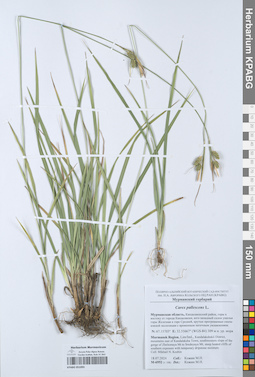 KPABG051093