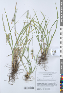 KPABG051094