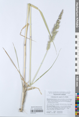 KPABG051095