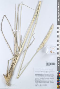 KPABG051097