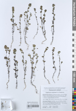 KPABG051104