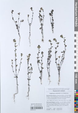 KPABG051110