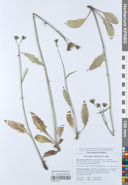 KPABG052810