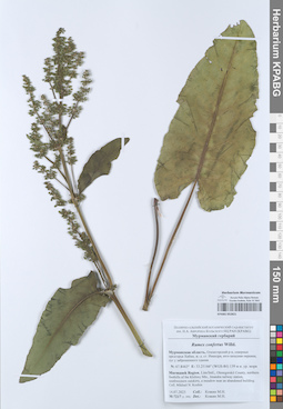 KPABG052821
