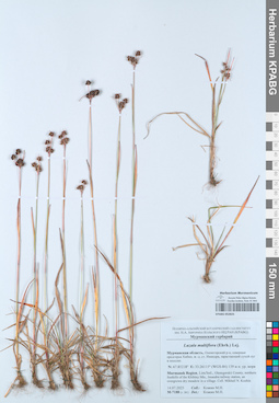 KPABG052825