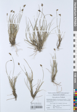 KPABG052840