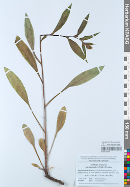 KPABG052846