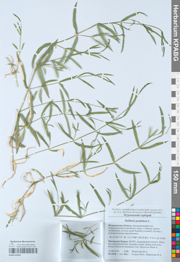 KPABG052851