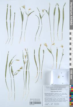KPABG052855