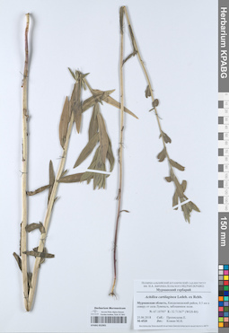 KPABG052901