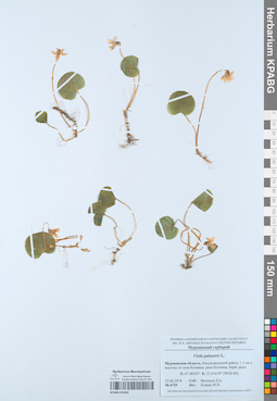 KPABG052902