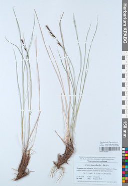 KPABG052920