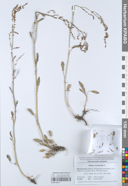 KPABG052925