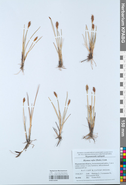 KPABG052940