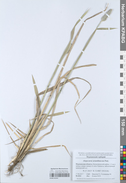 KPABG052943