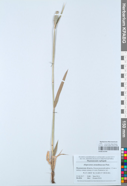 KPABG052946