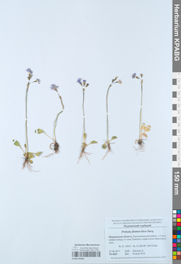 KPABG052965