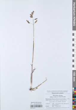 KPABG052971