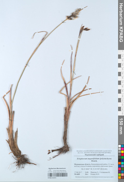 KPABG052972