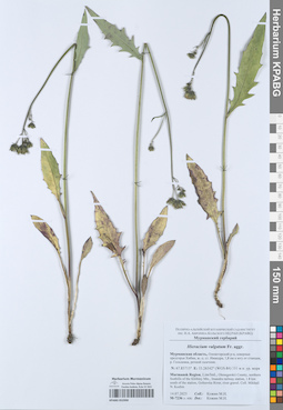 KPABG052990