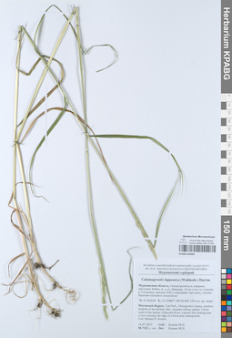 KPABG053005