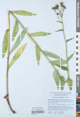 KPABG053018