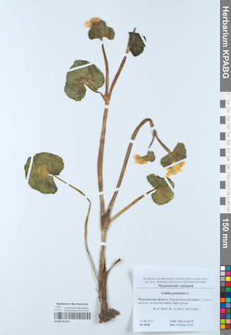 KPABG053022