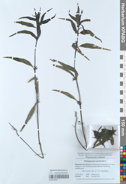 KPABG053023