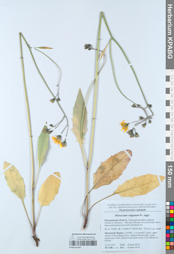 KPABG051697