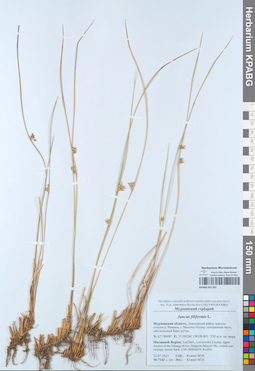 KPABG051702