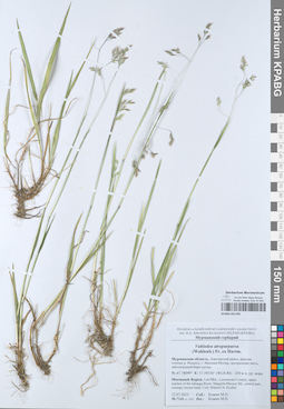 KPABG051705